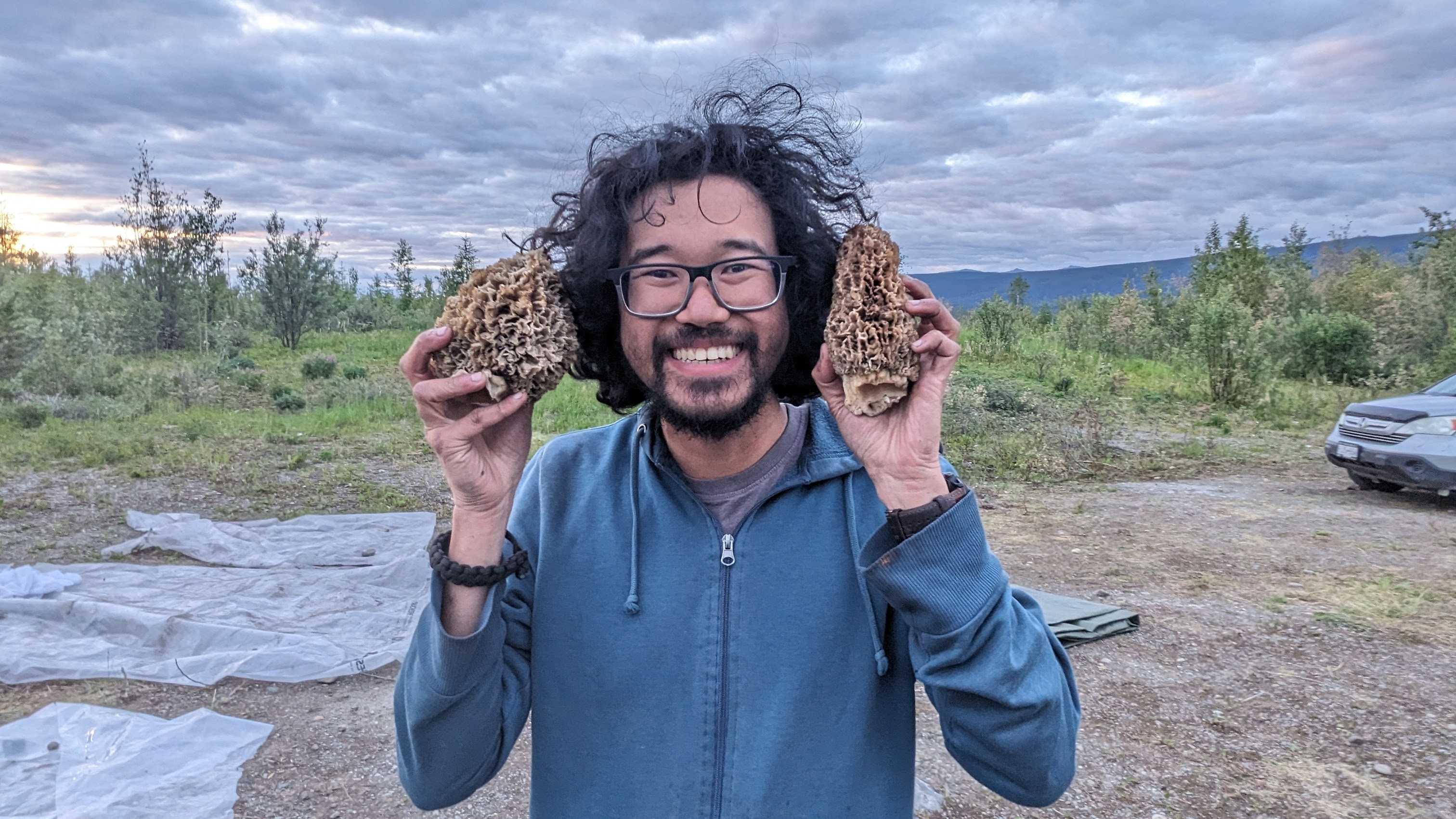 The mushrooms I picked in the forest